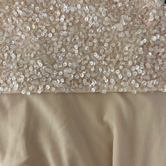 NWT Pissaro Nights Sequin Bodice Gown Dress Blush - Picture 6 of 8